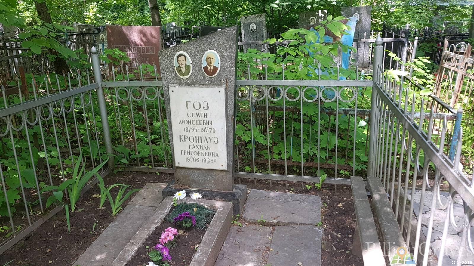 гоз семён моисеевич