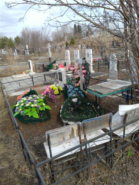 Диткин Виталий Викторович