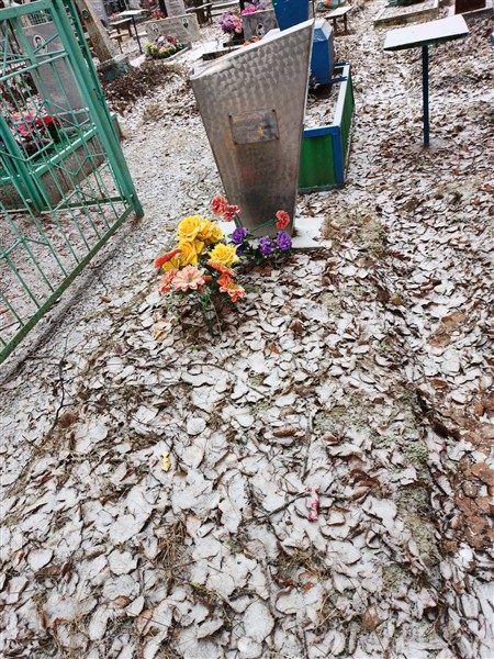 Журавлев Алексей Петрович