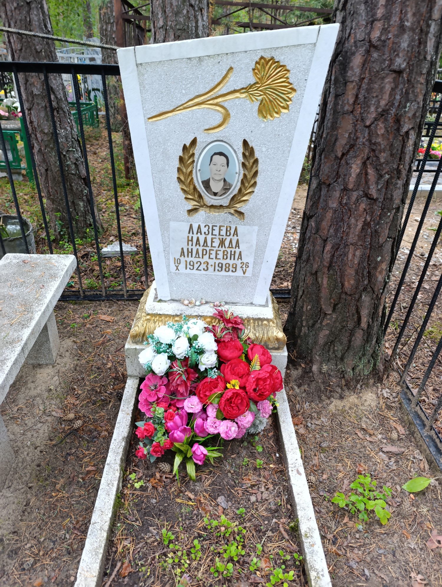Лазеева Надежда Андреевна