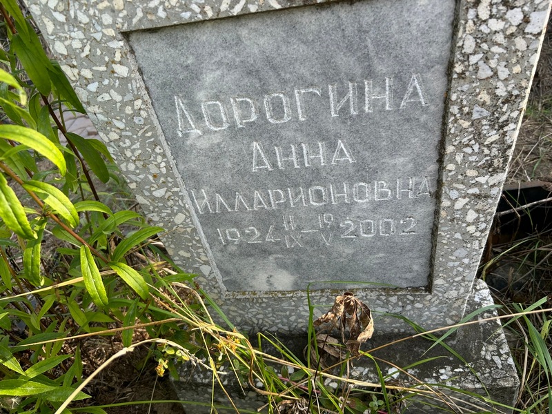 Дорогина