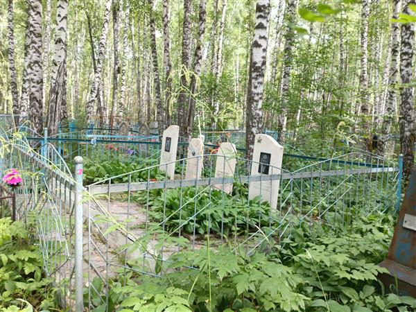 Новиков Николай Евгеньевич