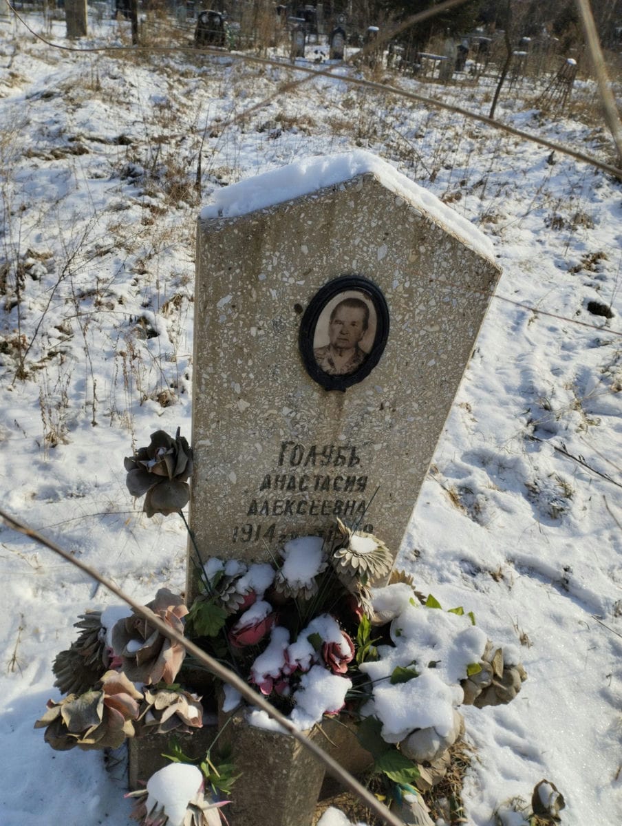Голубь Анастасия Алексеевна