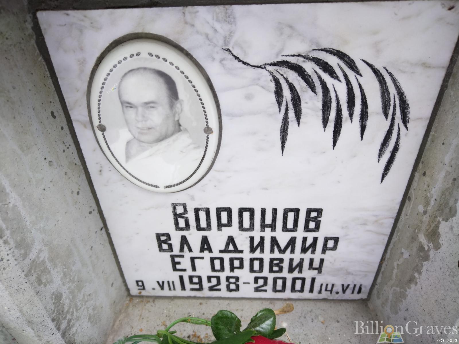 Воронов Владимир Егорович