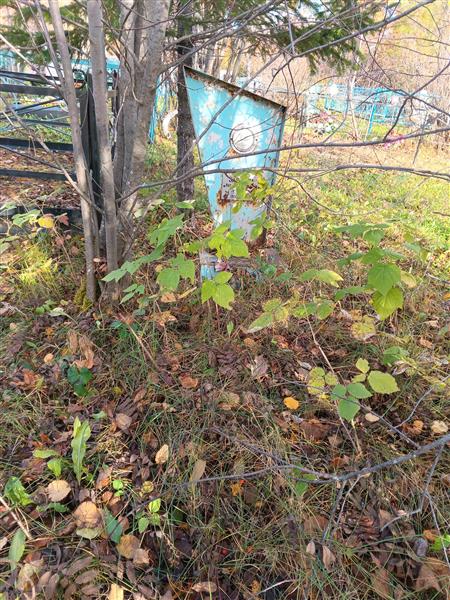 Захарова Наталья Николаевна
