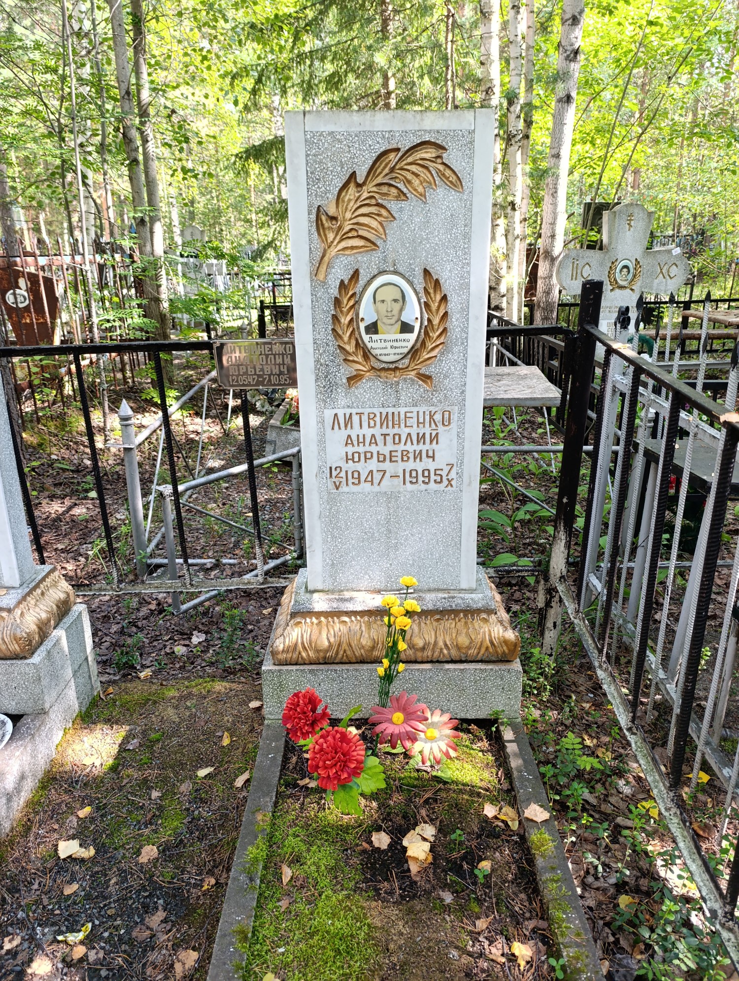Литвиненко Анатолий Юрьевич
