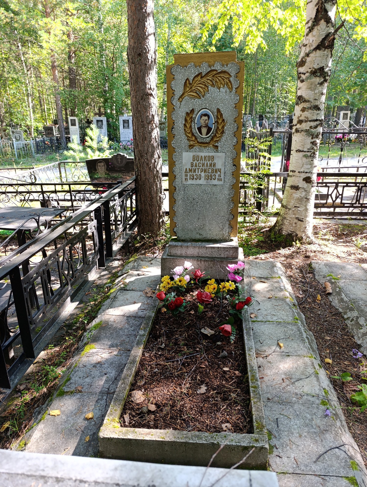 Волков Василий Дмитриевич