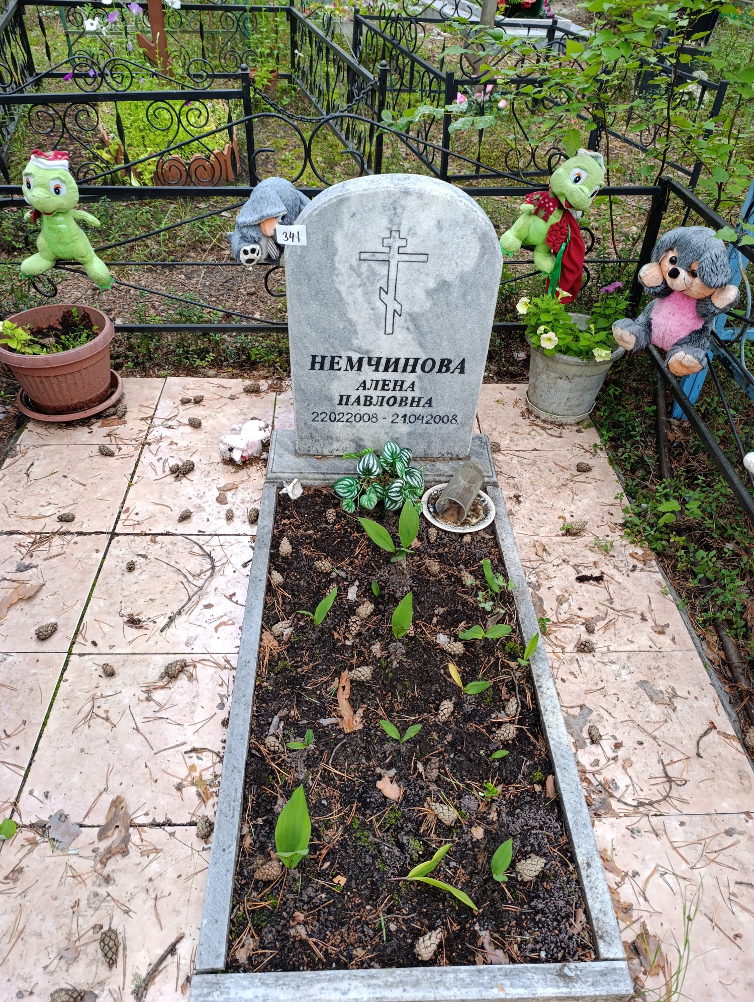 Немчинова Алена Павловна