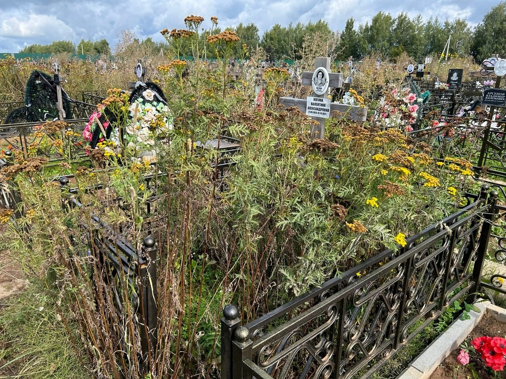 Ногина Валентина Александровна