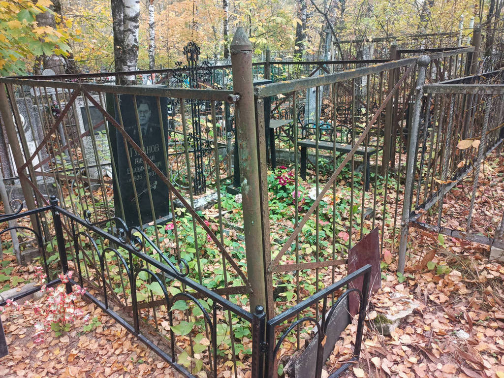 Губанов Игорь Николаевич