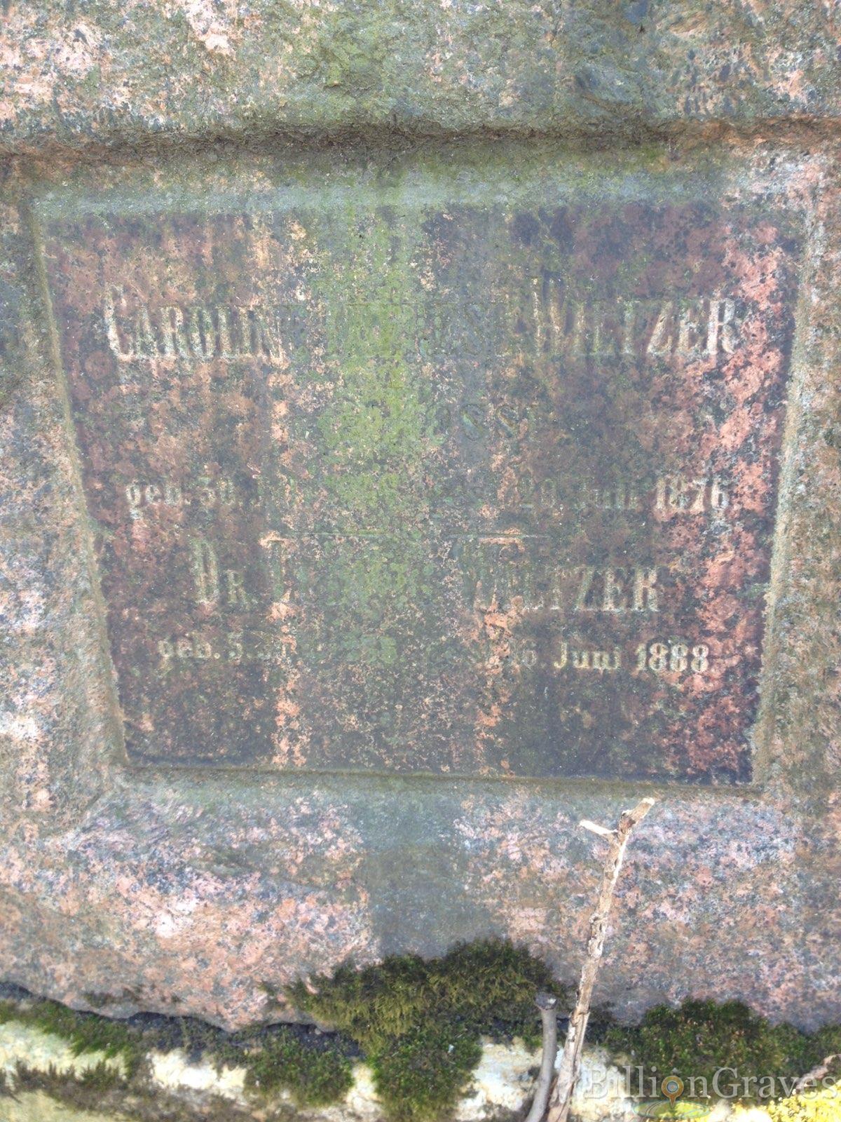 Wiltzer Ludwig