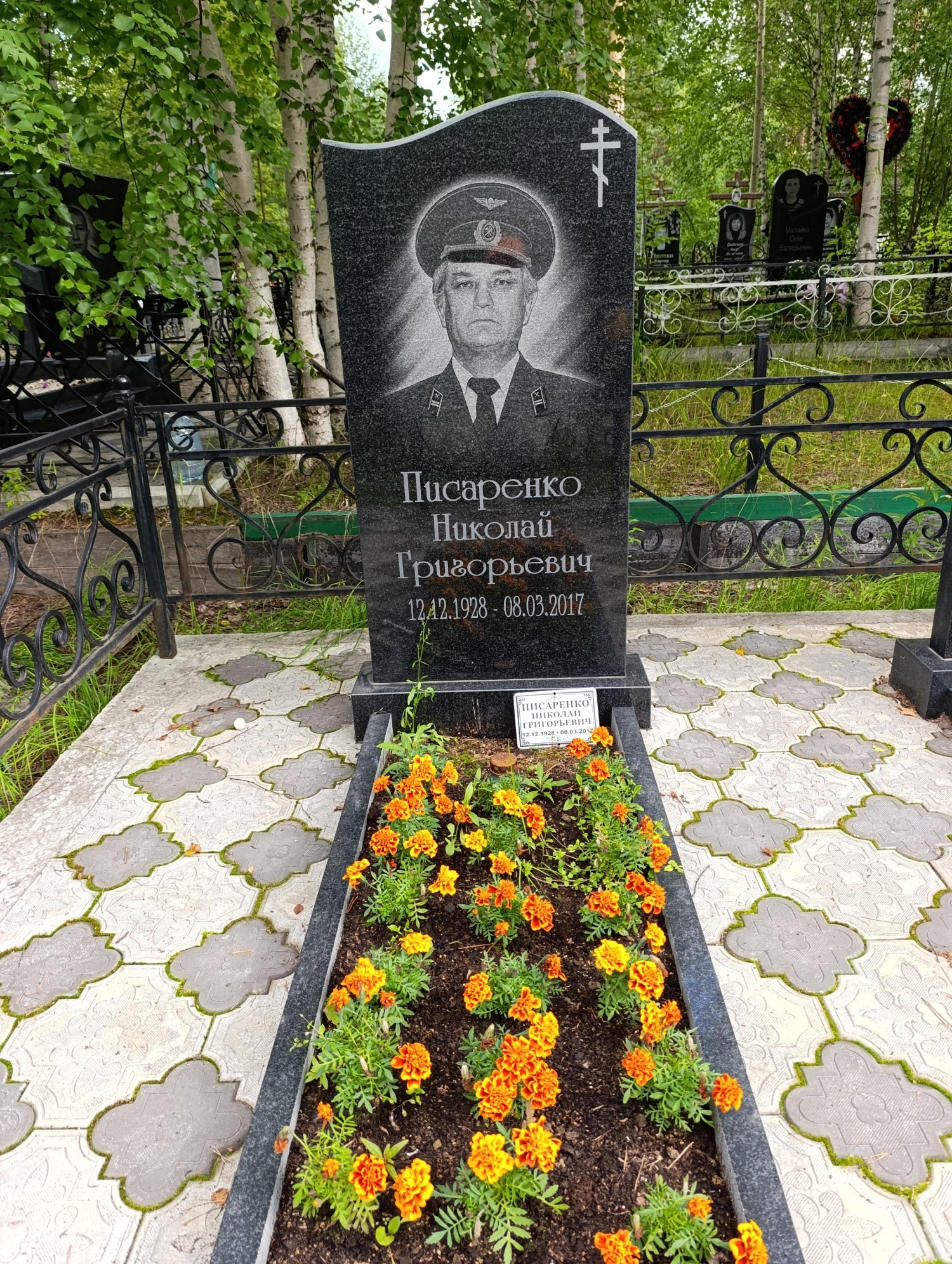 Писаренко Николай Григорьевич