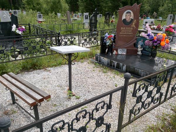 Вялов Дмитрий Михайлович