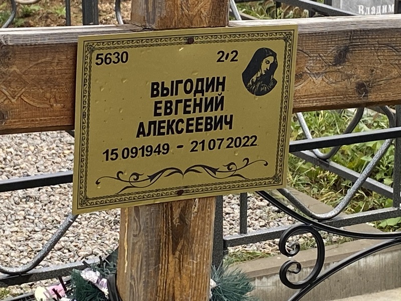 Выгодин