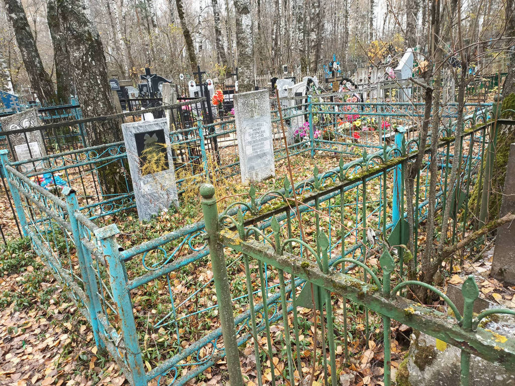 Сафонова Ольга