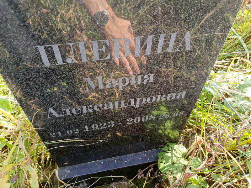 Плевина