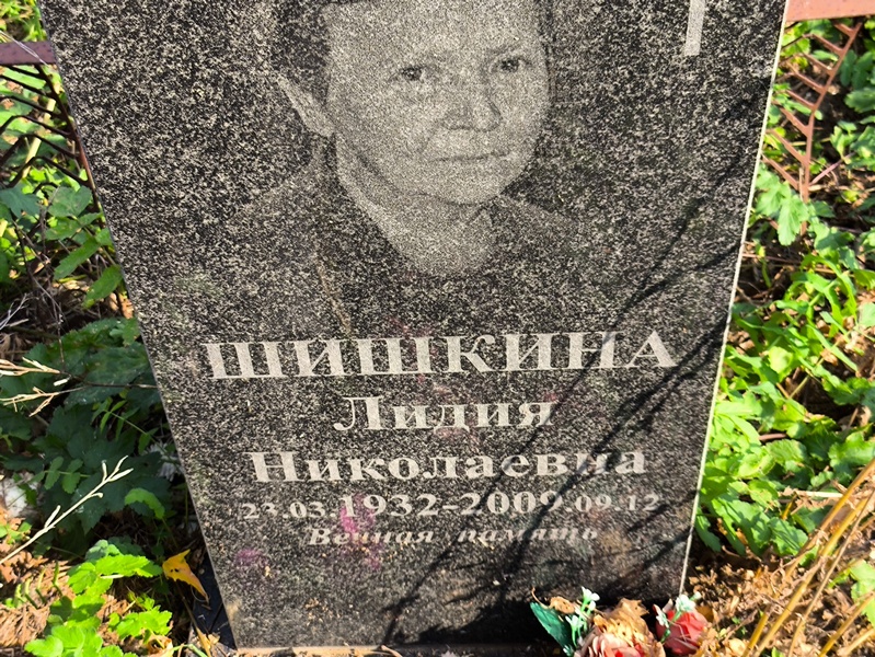 Шишкина