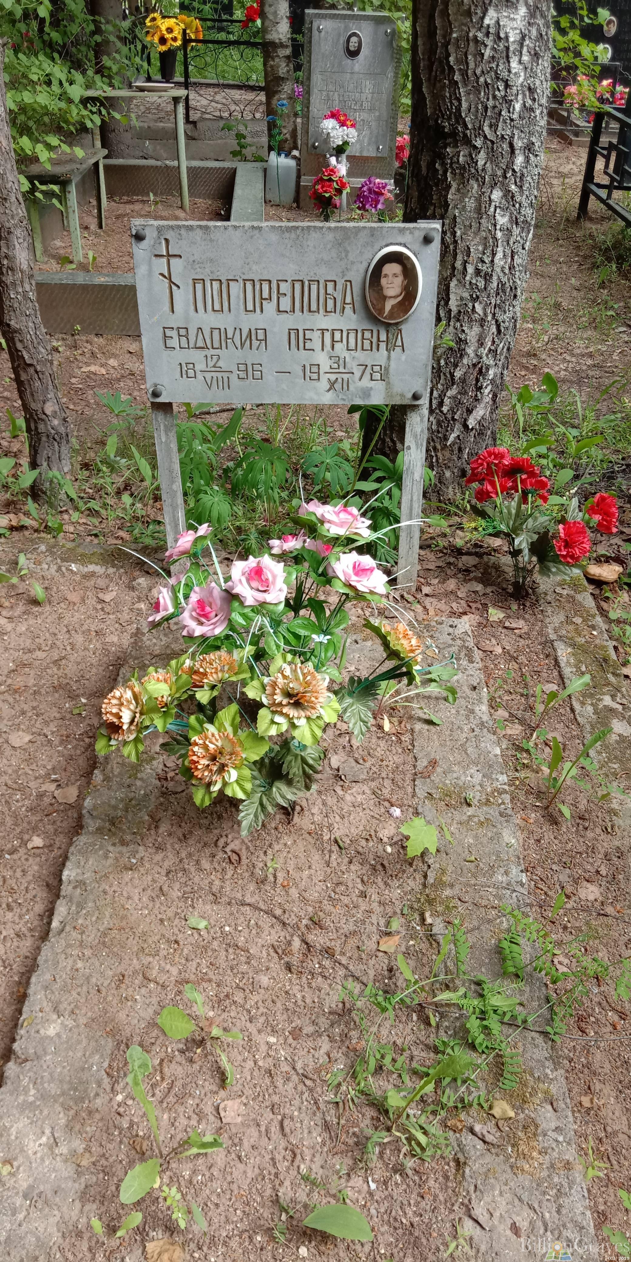 Погорелова Евдокия Петровна