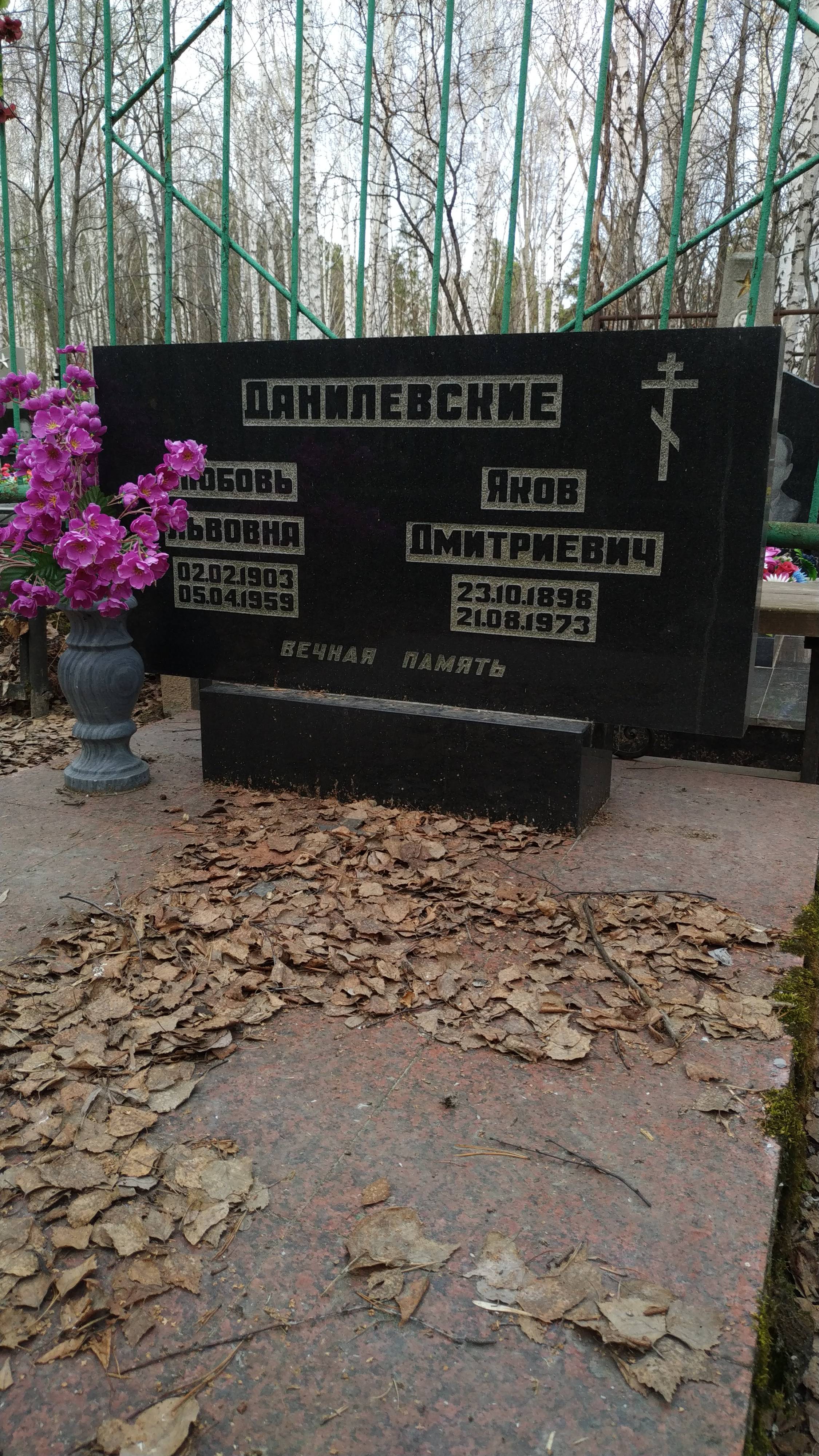 Данилевский Яков Дмитриевич