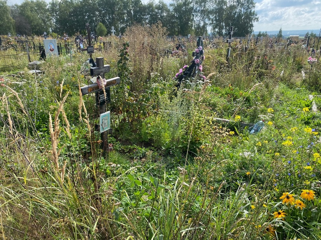 Пальцев Андрей Юрьевич