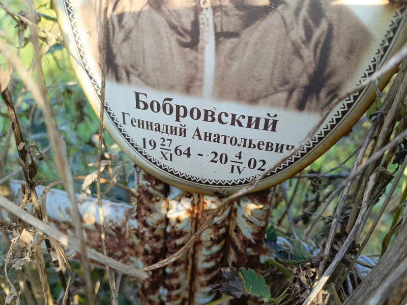 Бобровский