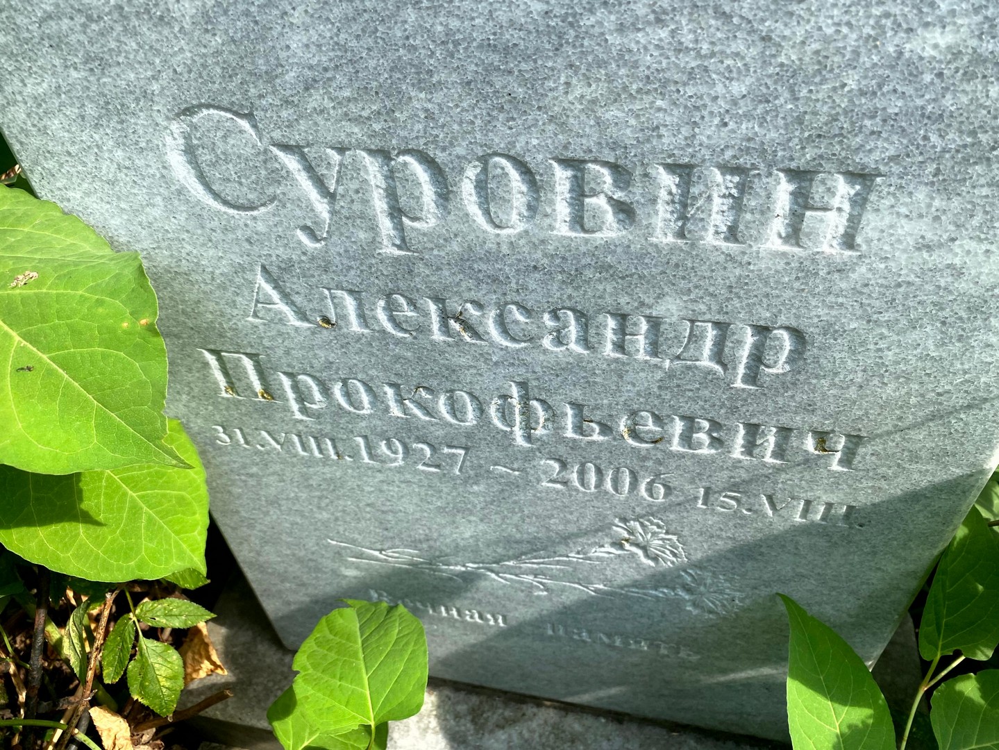 Суровин