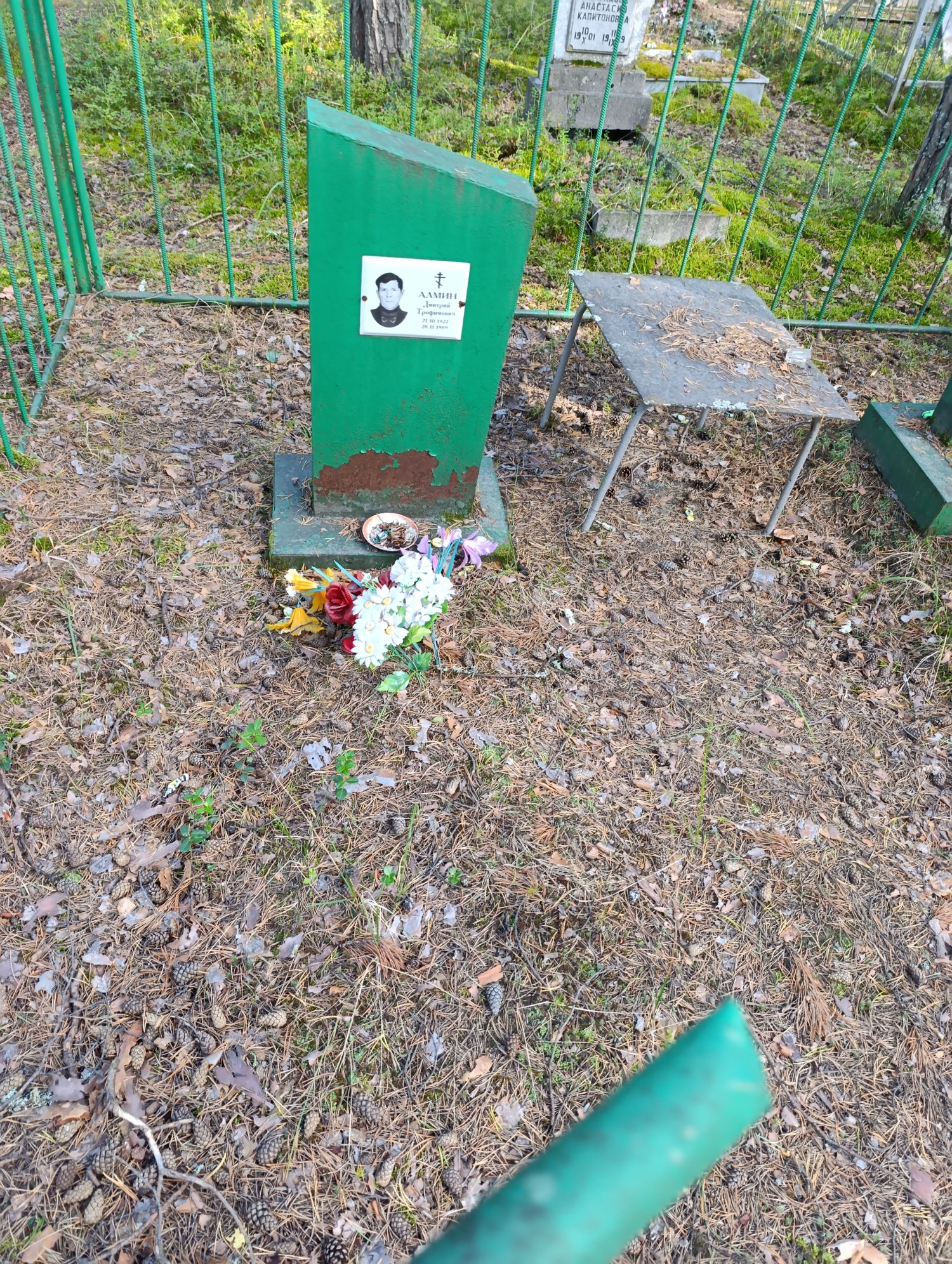 Алмин Дмитрий Трофимович