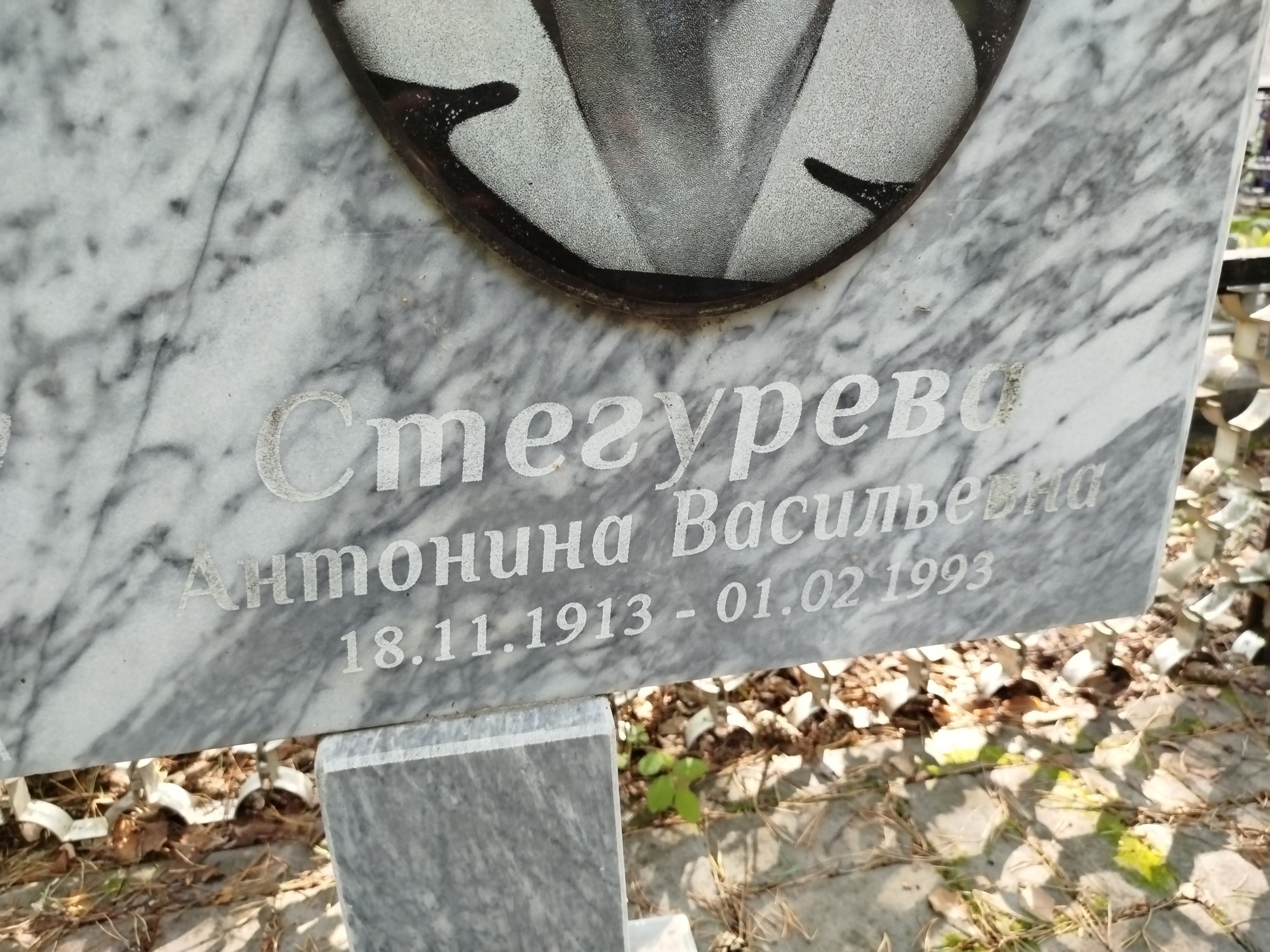 Стегурева Антонина Васильевна