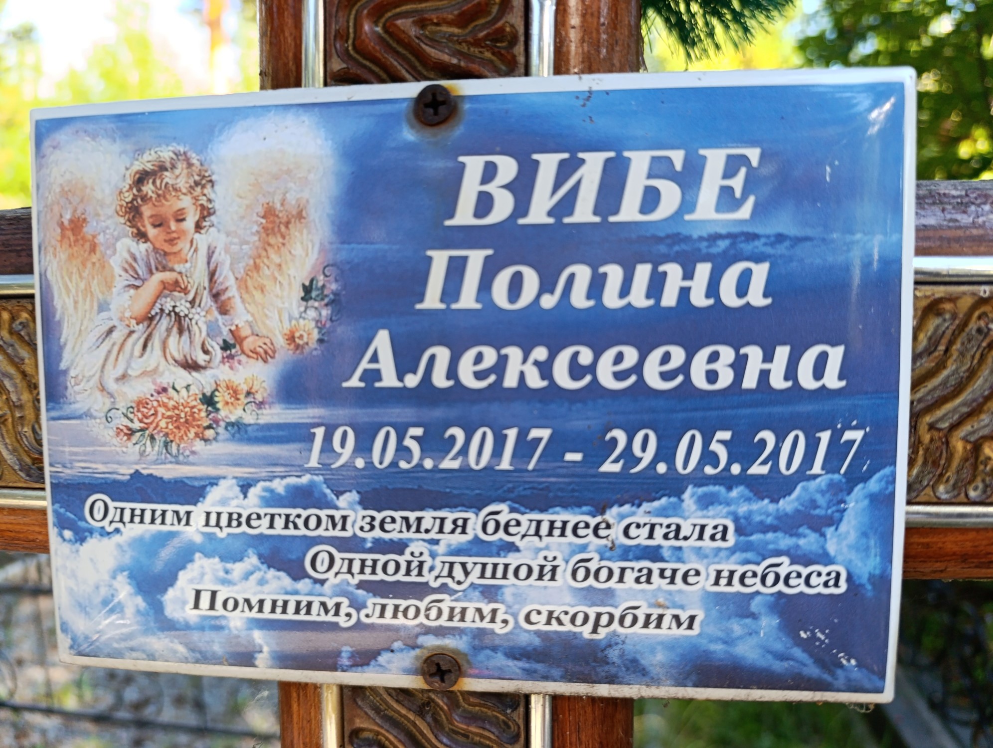 Вибе Полина Алексеевна