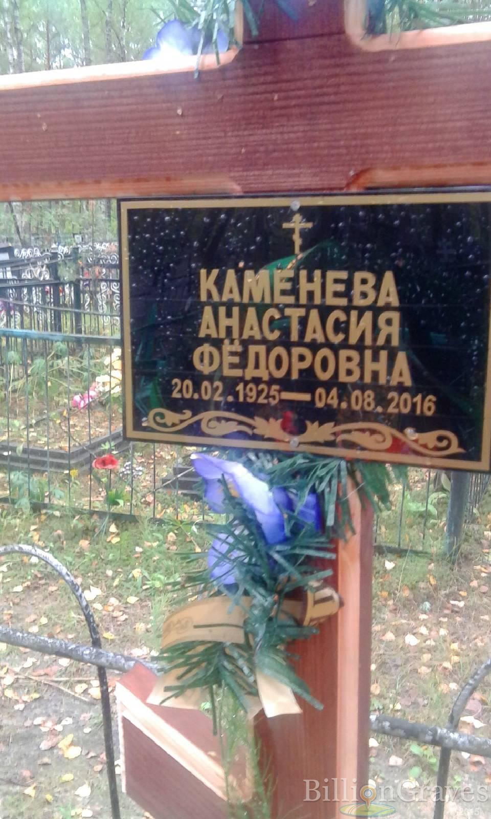 Каменева Анастасия Фёдоровна