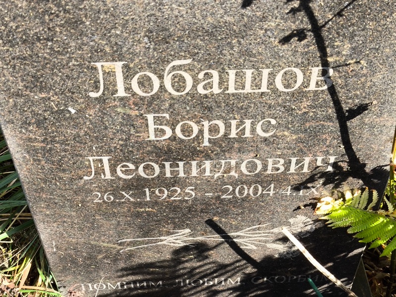 Лобашов