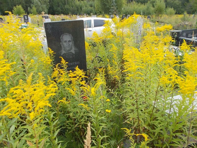 Шеститко Николай Павлович