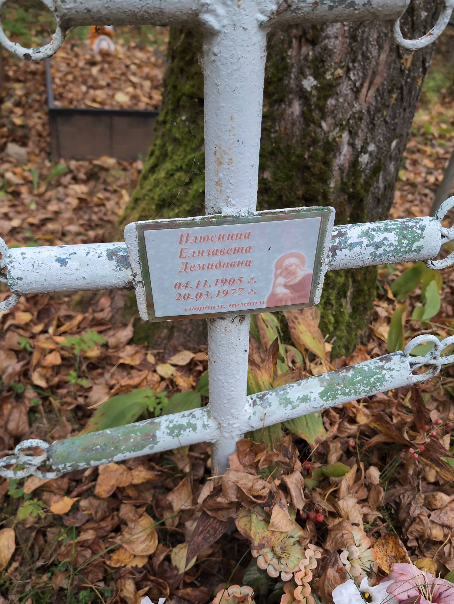 Плюсина Елизавета Демидовна