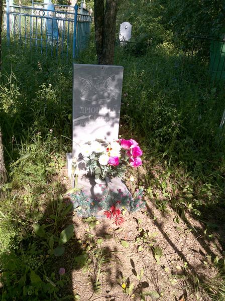 Дрюпина Света