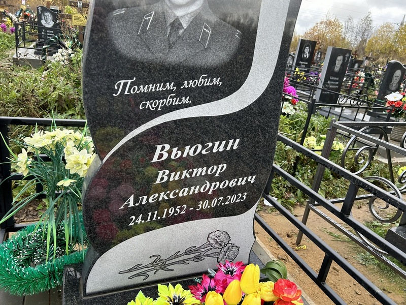Вьюгин