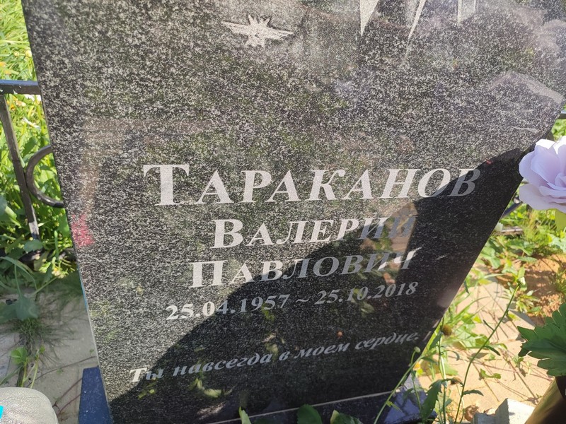 Тараканов