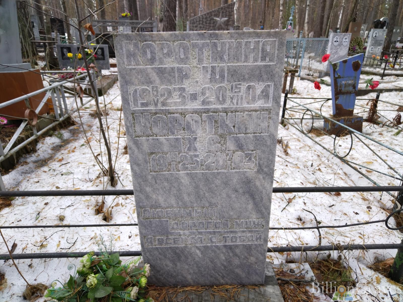 Короткина Р. Ш.