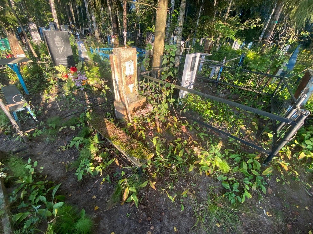 Шленский Александр Петрович
