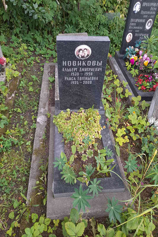 Новиков Альберт Дмитриевич