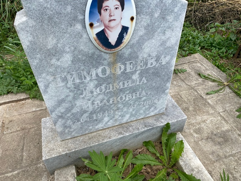 Тимофеева