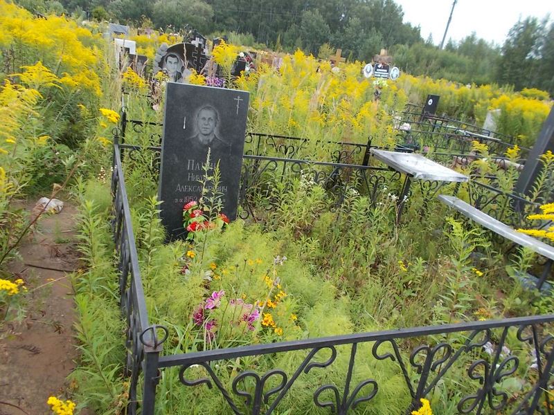 Панин Николай Александрович