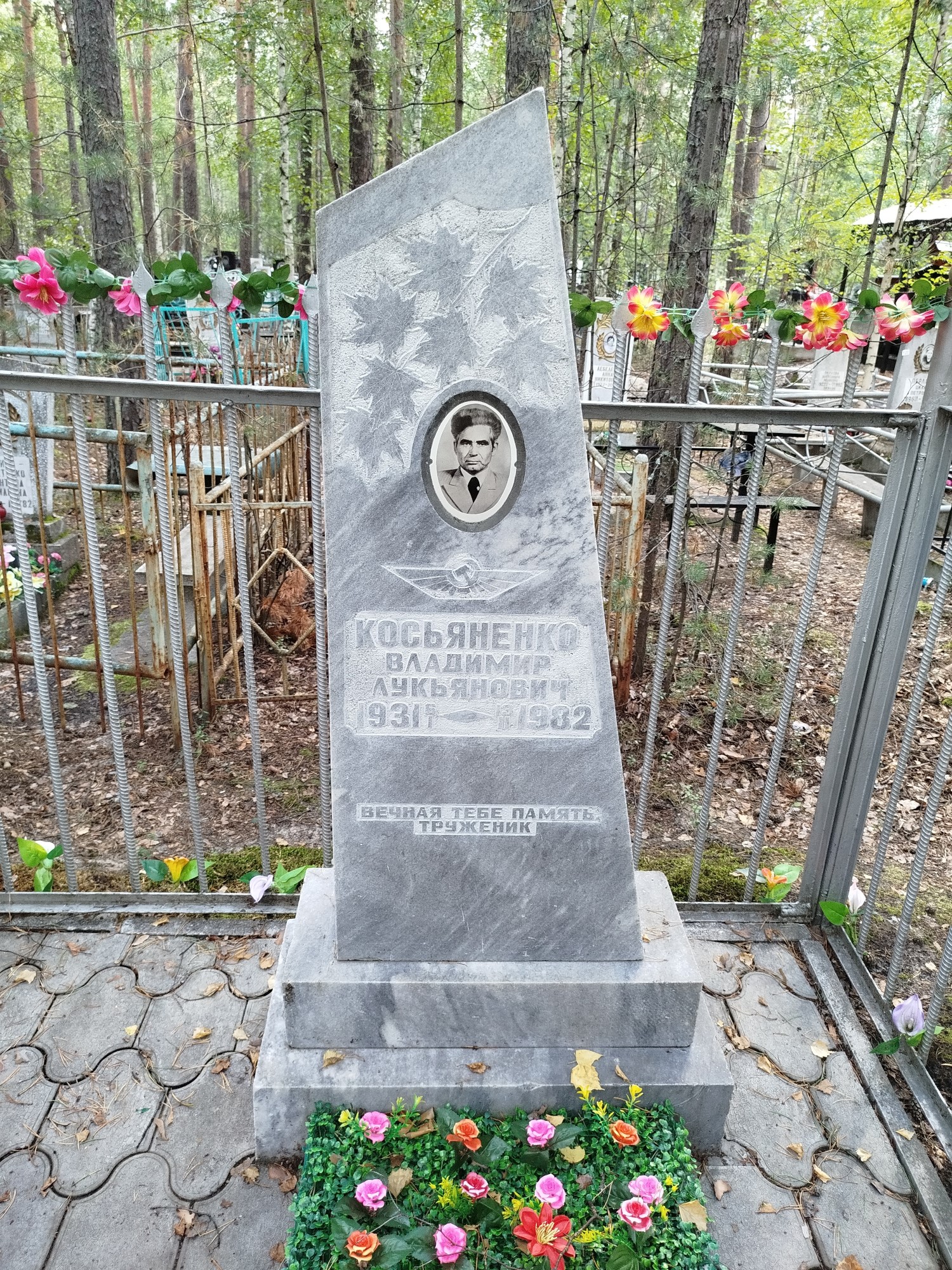Косьяненко Владимир Лукьянович