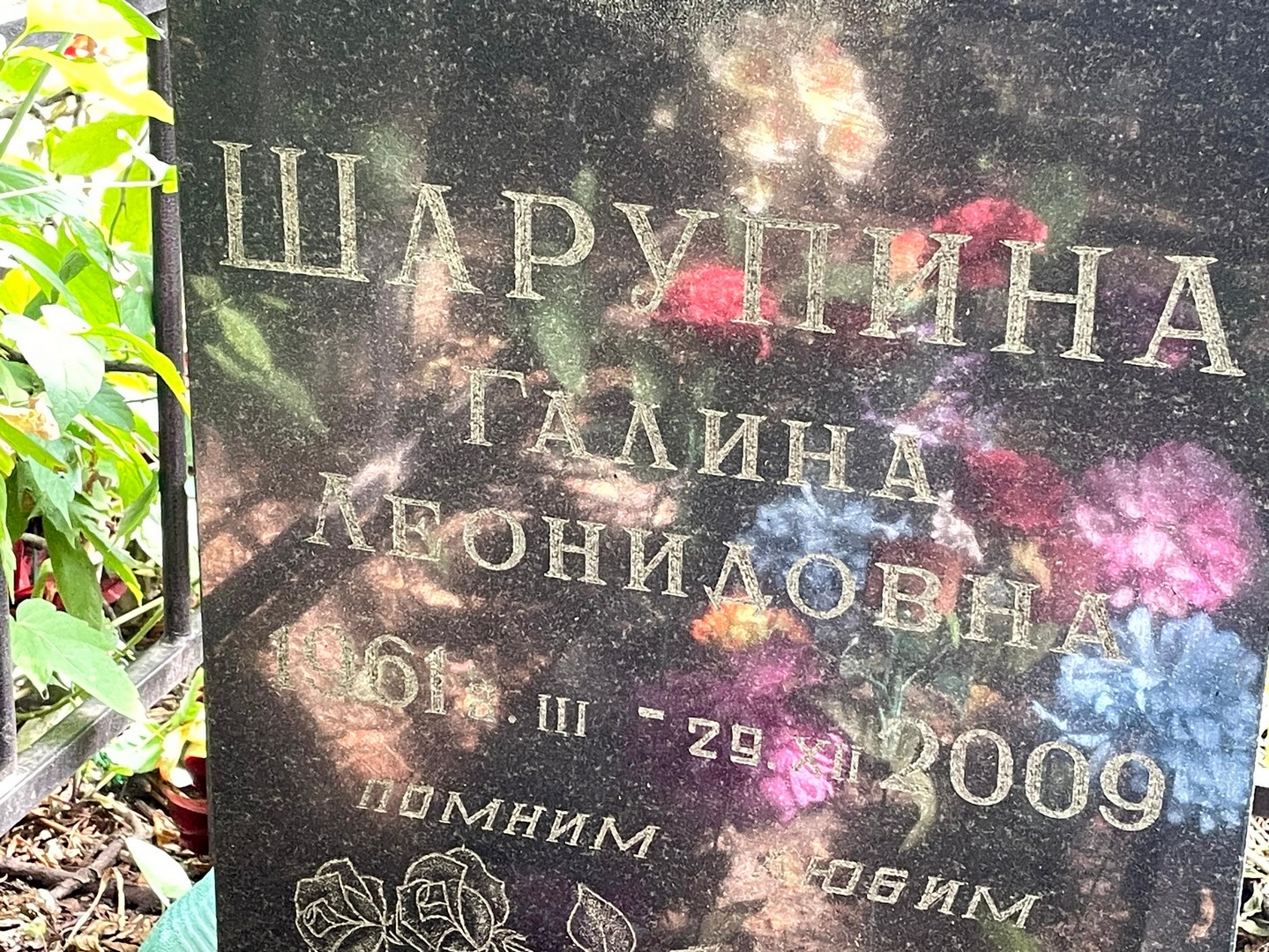 Шарупина
