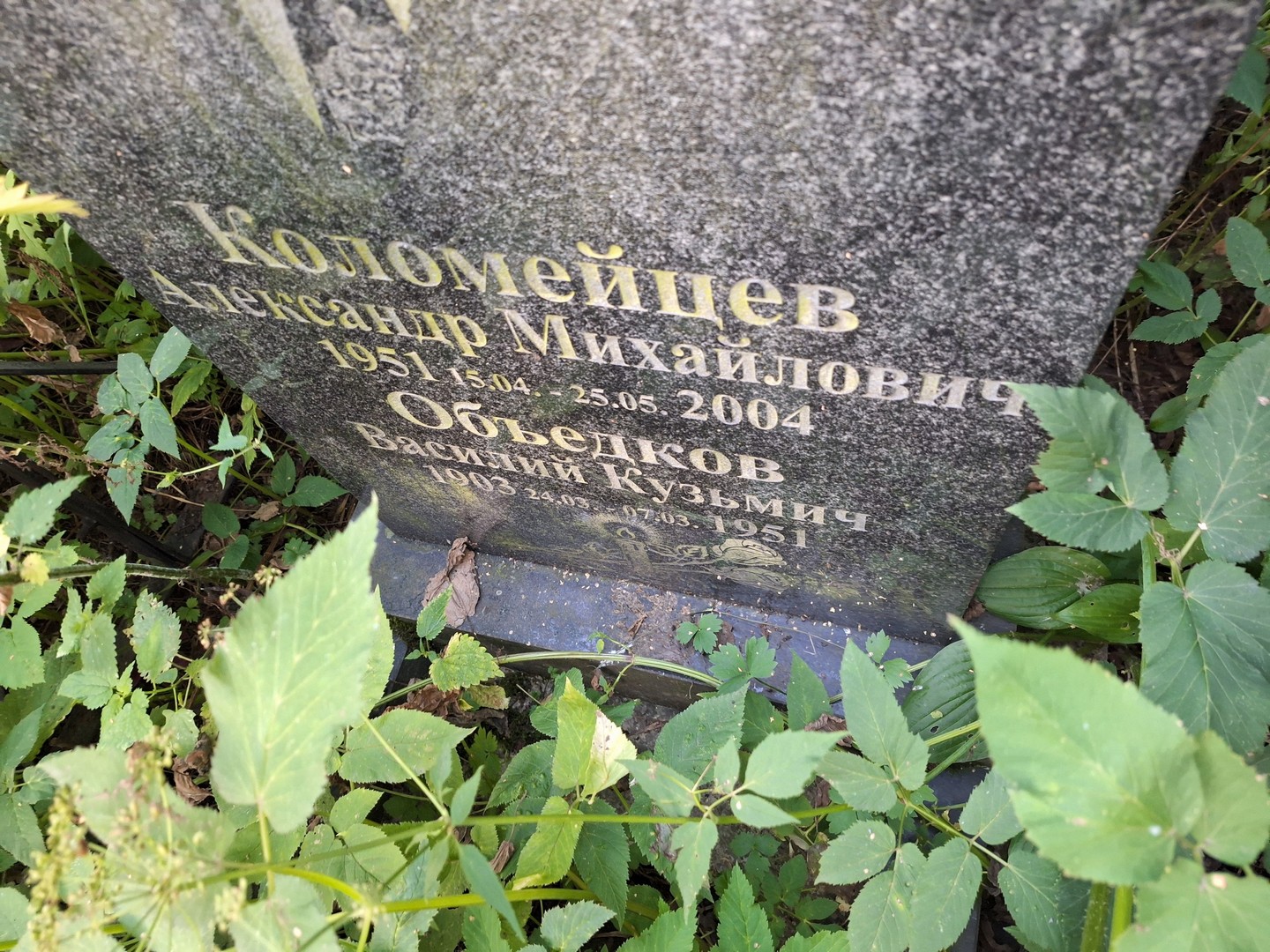 Коломейцев