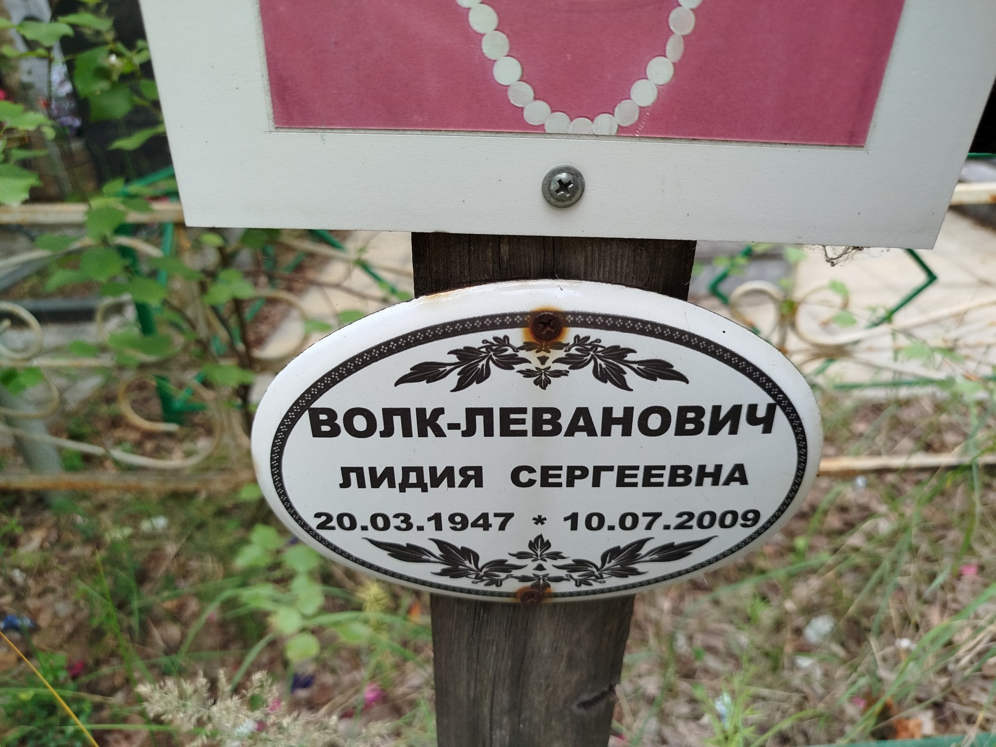 ВолкЛеванович Лидия Сергеевна