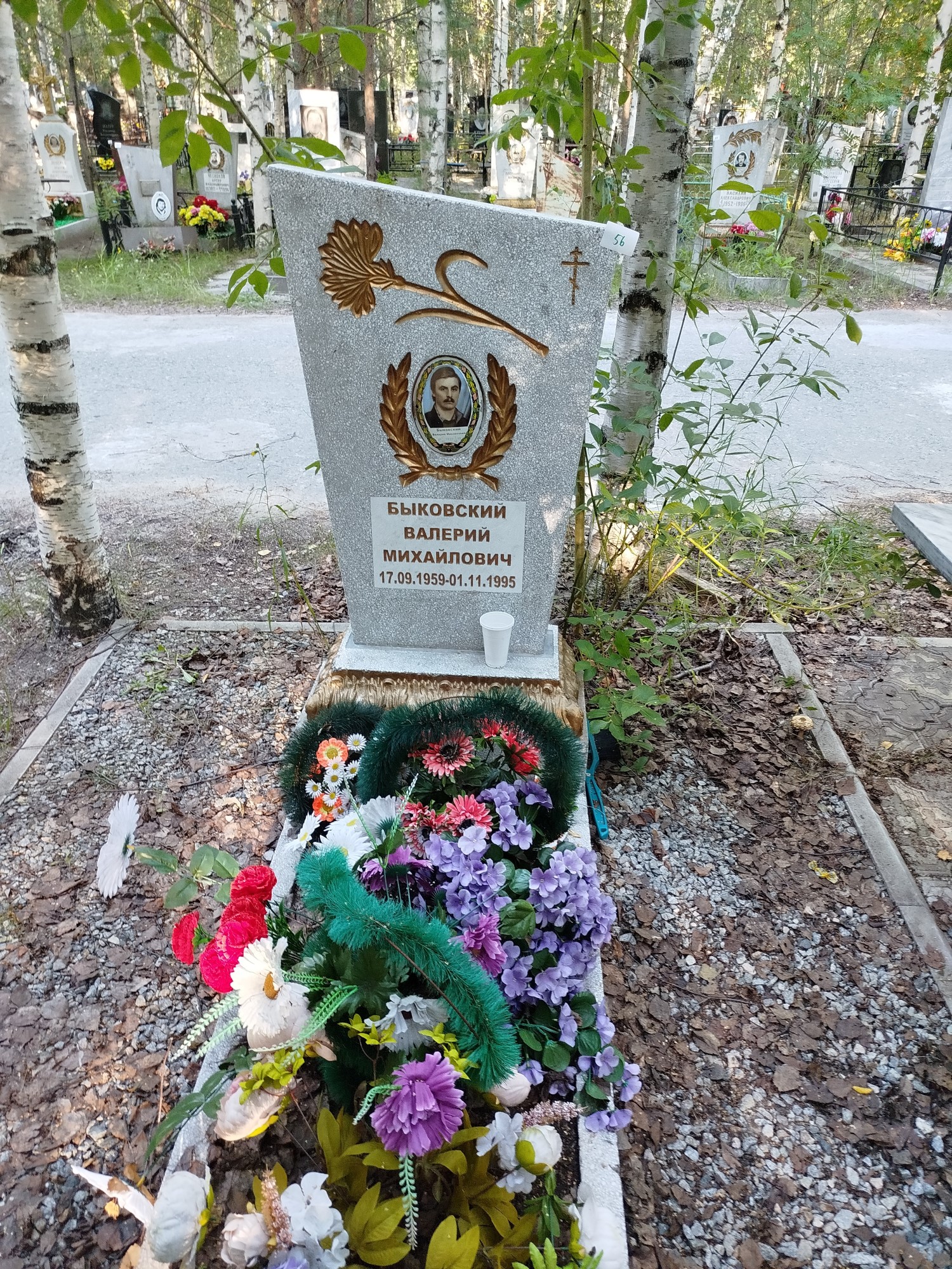 Быковский Валерий Михайлович