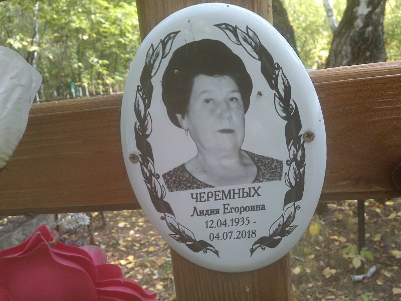 Черемных