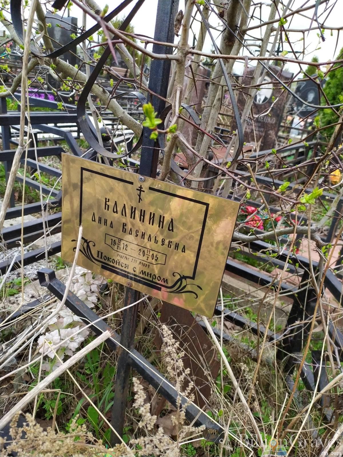 Калинина Анна Васильевна
