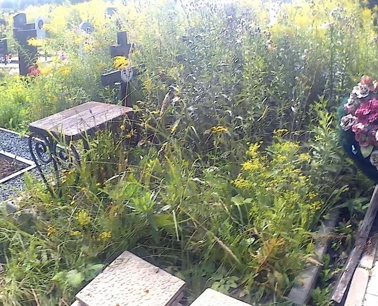 Марканова Нина Георгиевна