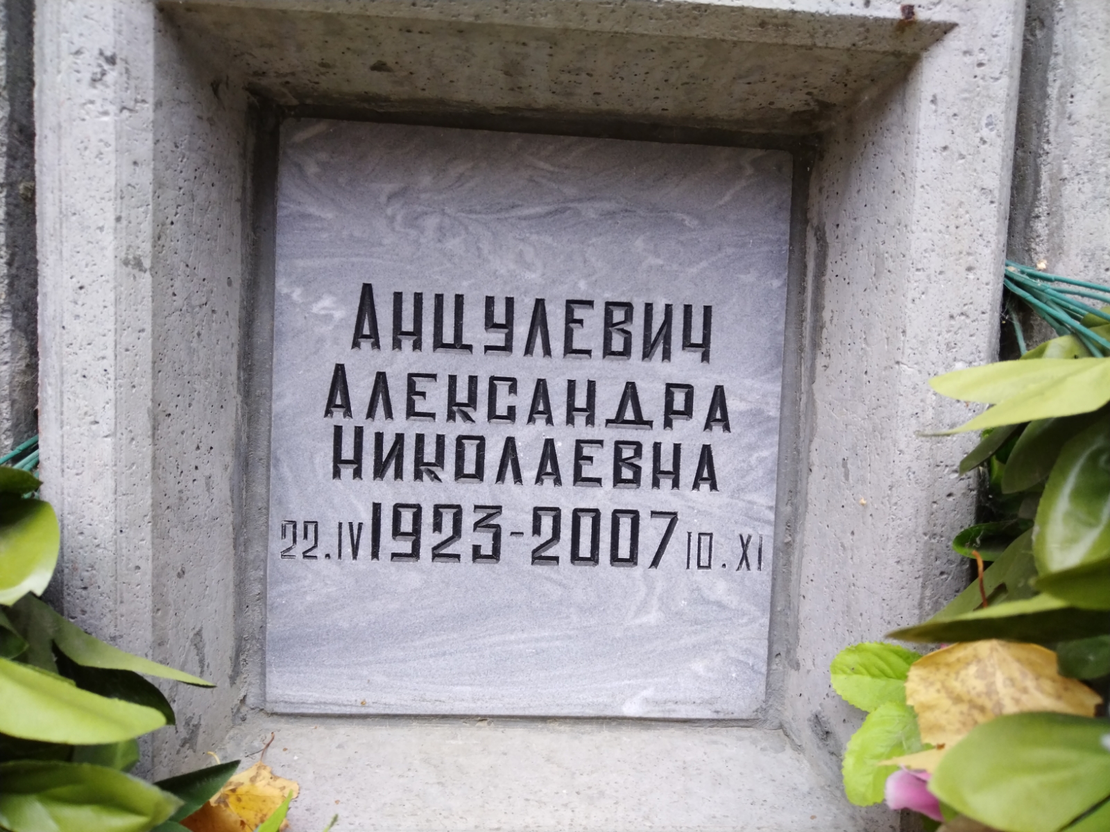 Анцулевич Александра Николаевна